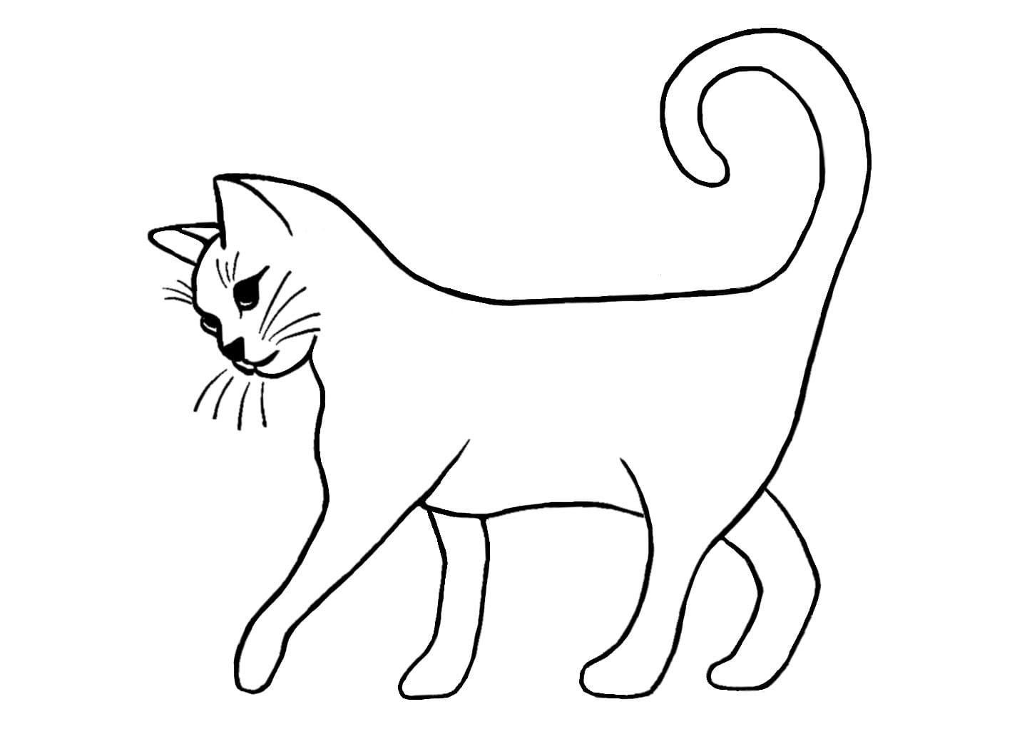 Drawing of a cat
