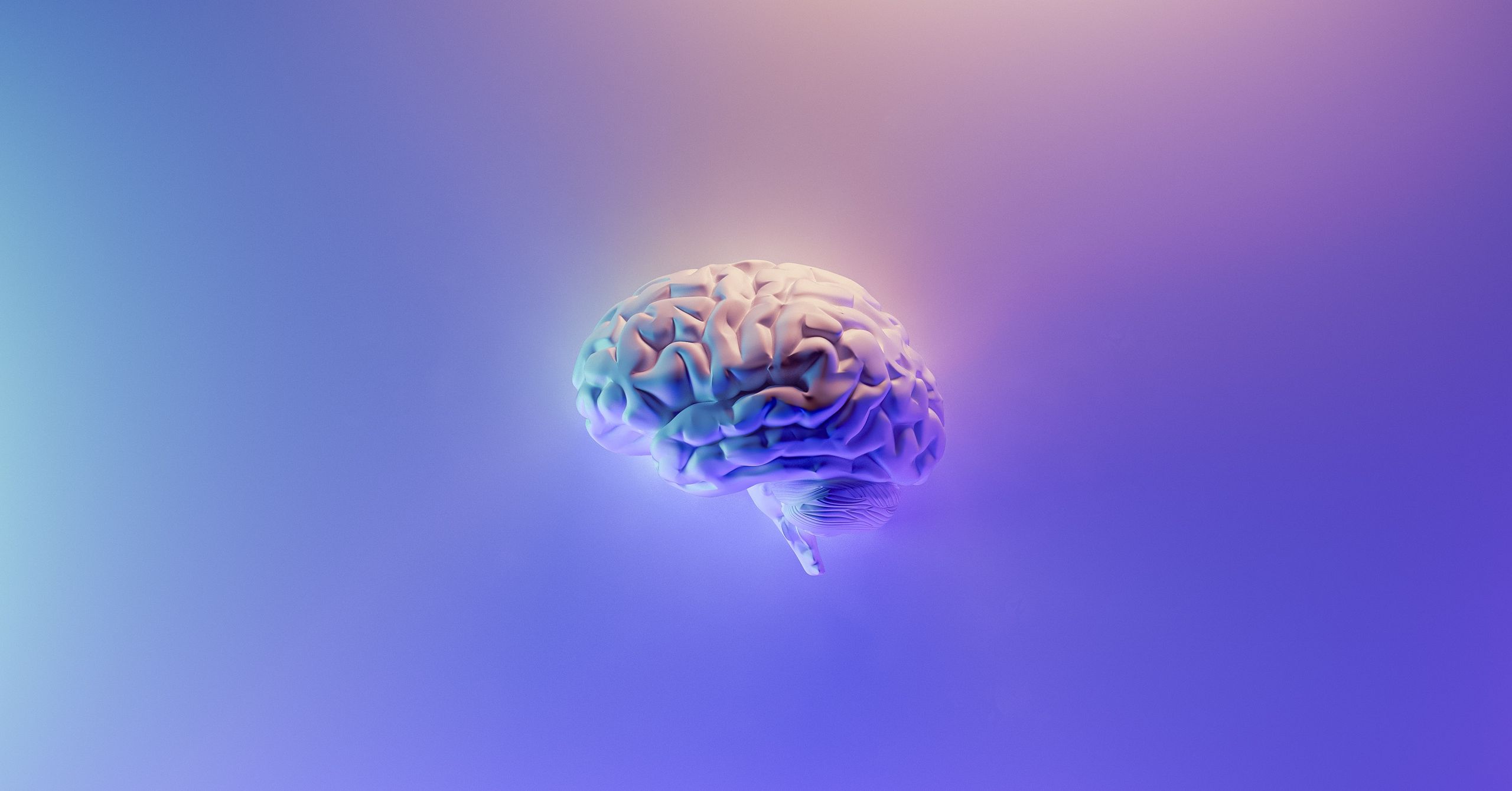 3D render of a human brain on the gradient background